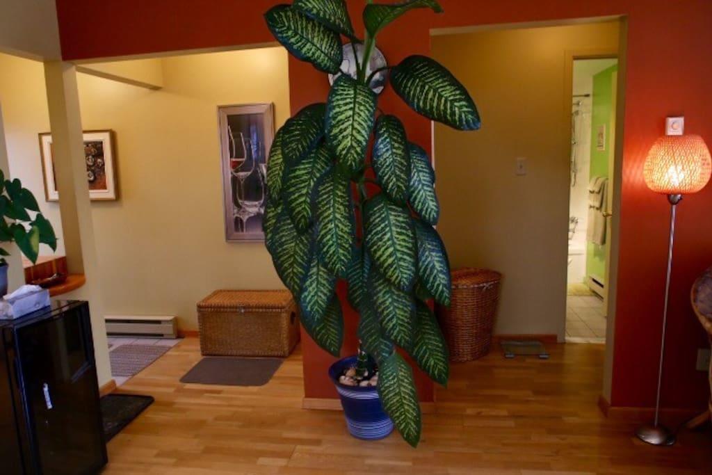 Magog Lovely Vacation Home מראה חיצוני תמונה